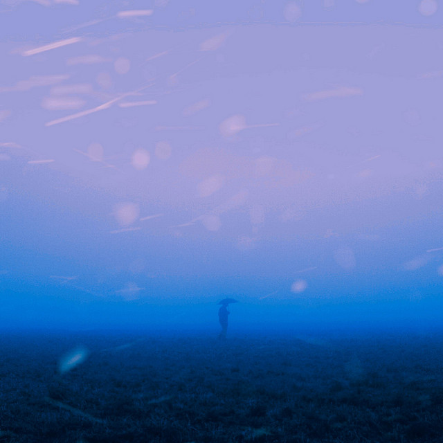 Soul-Searcher