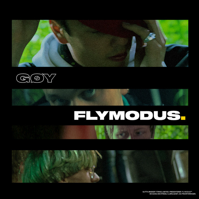 FLYMODUS cover art