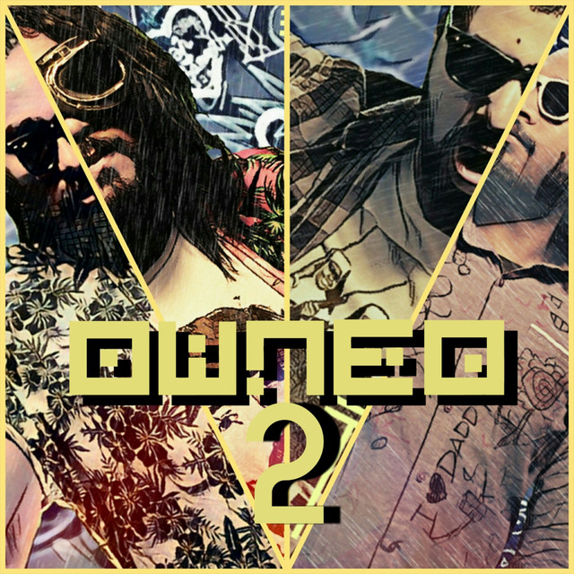 Owned 2 cover art