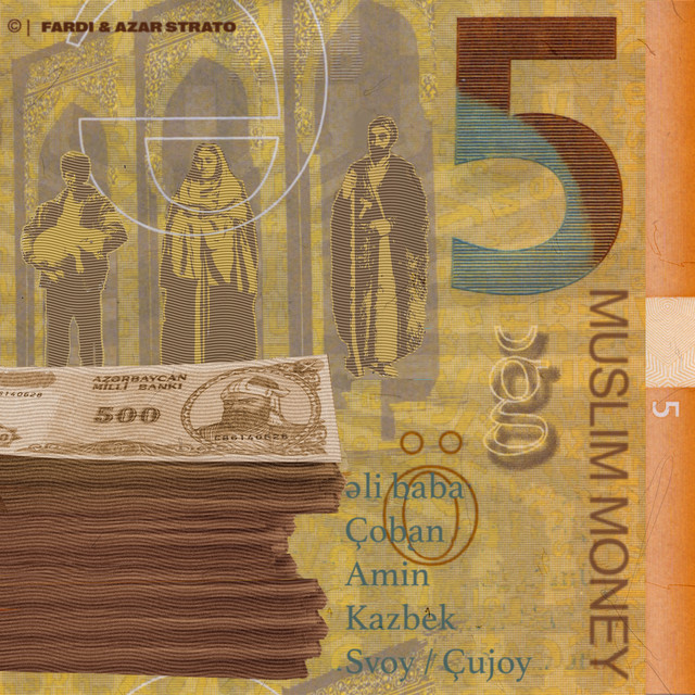 Cover of Muslim Money by Fardi