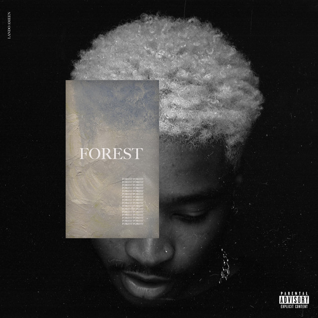 POLAROID cover art