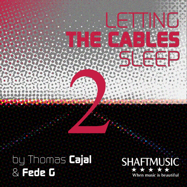Letting the Cables Sleep - Beenie Becker & DJ Turtle Mix