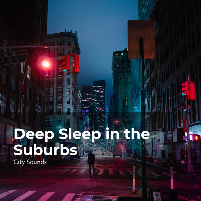Deep Sleep in the Suburbs cover art