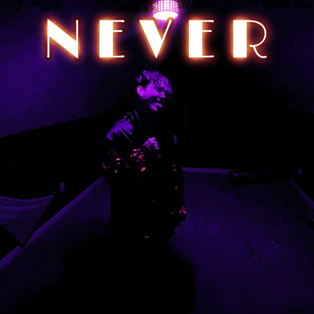 NEVER cover art