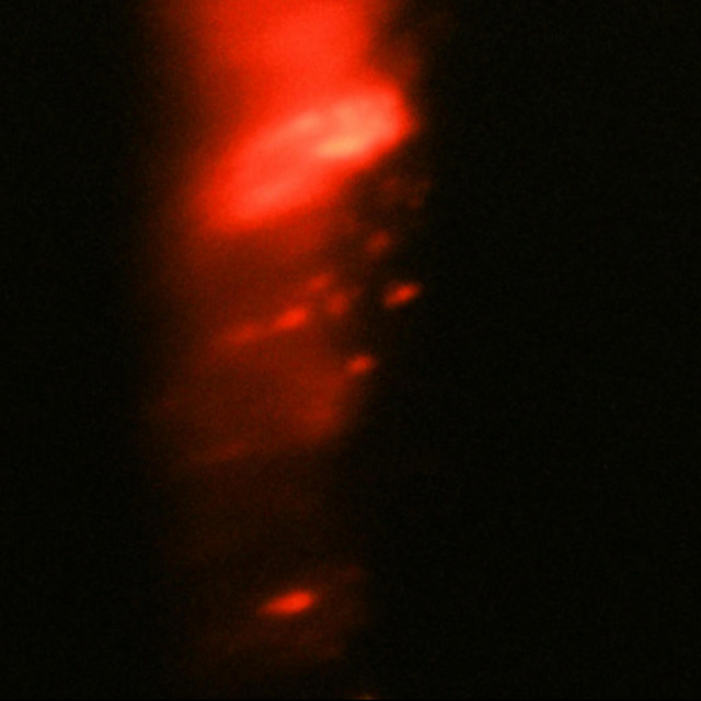 feel this way - live ver.