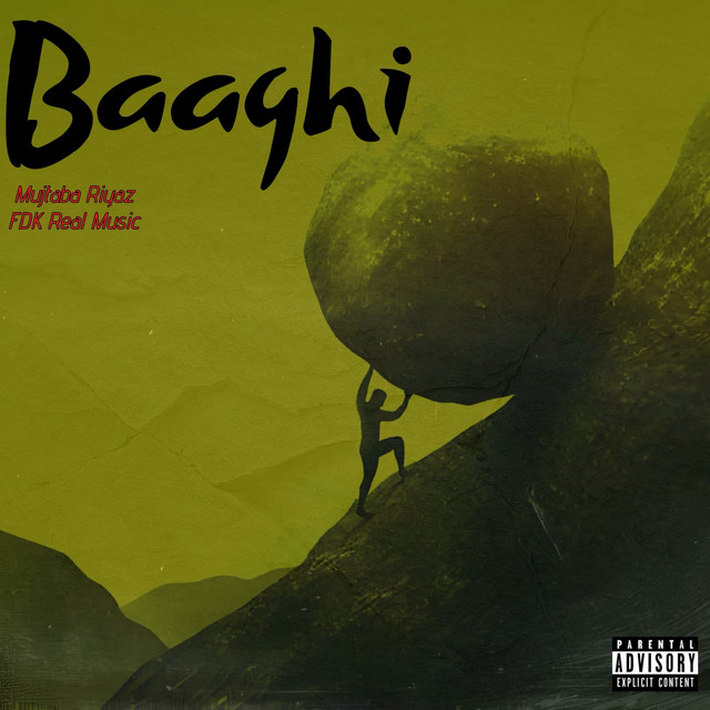 Baaghi cover art