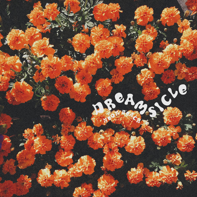 Dreamsicle cover