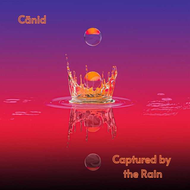 Captured by the Rain