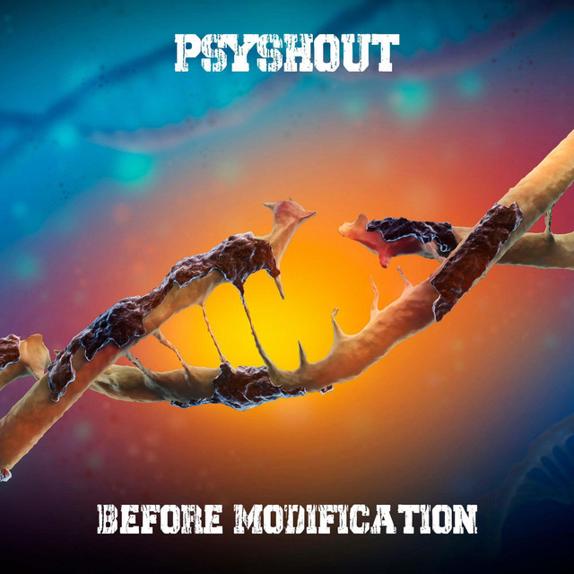 Before Modification cover art