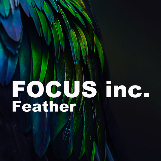FOCUS inc. Photo