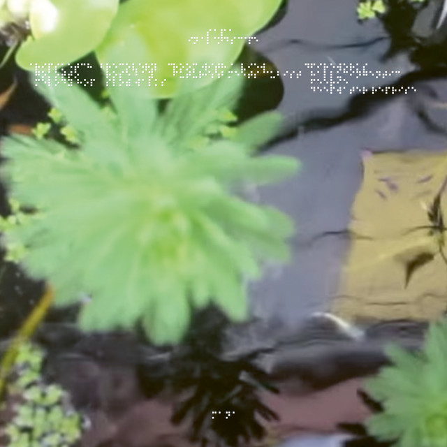 In a Landscape cover art