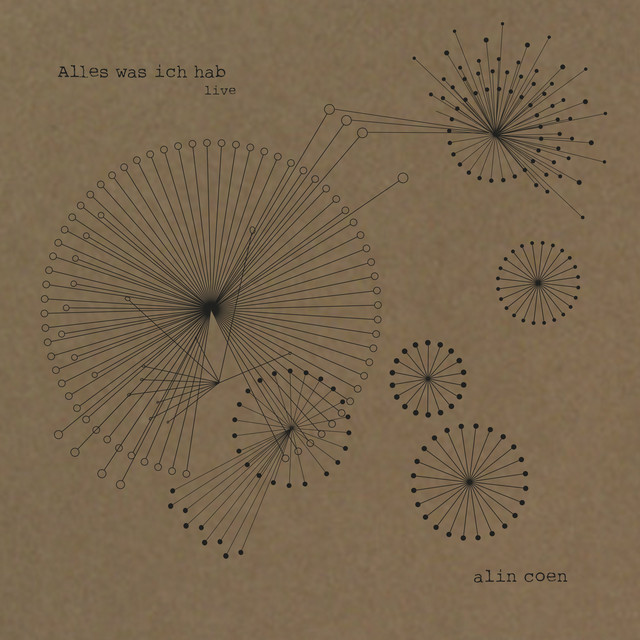 Alles was ich hab - Live cover art