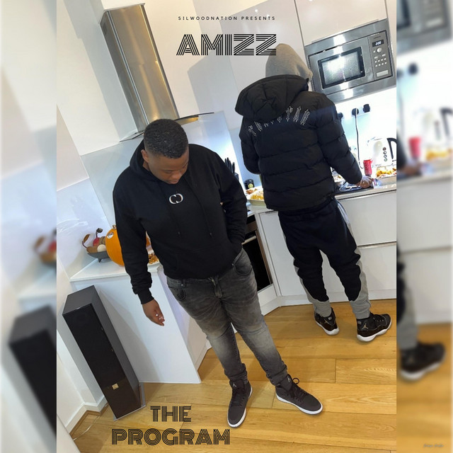 The Program cover art