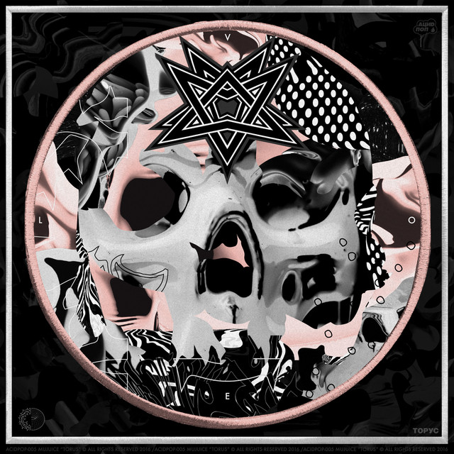 Torus cover art