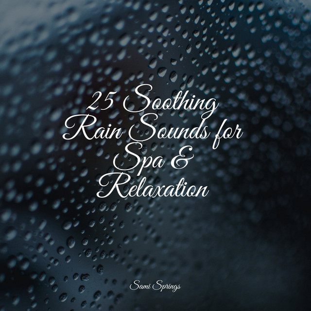 25 Soothing Rain Sounds for Spa & Relaxation - Album by The Rain ...