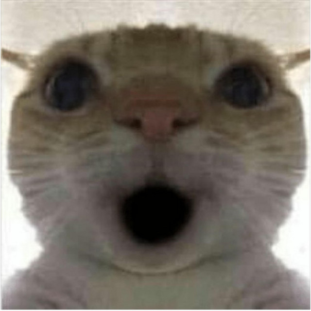 fonk snog