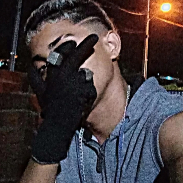 bicho solto