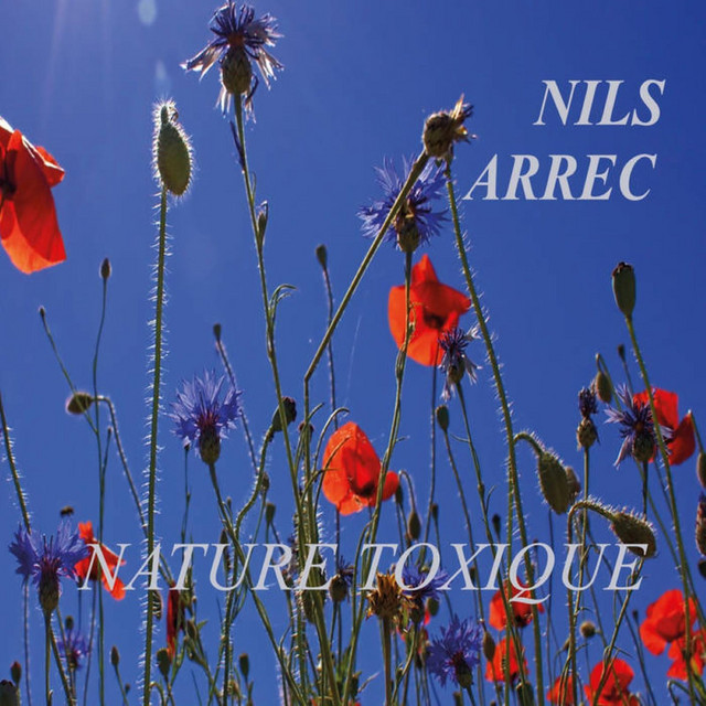 Pochette du titre Ce n'est Pas Une Vie