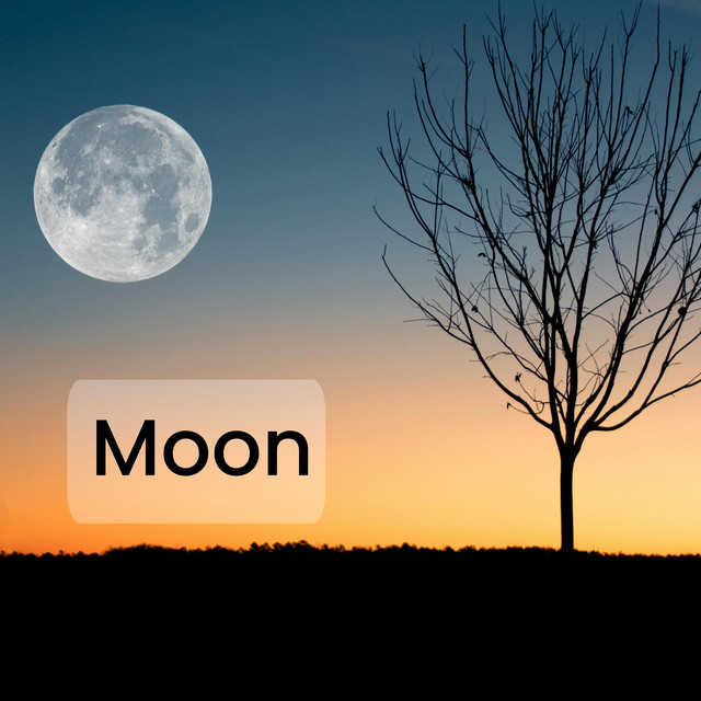 Moon - Album by Jake Ryder | Spotify