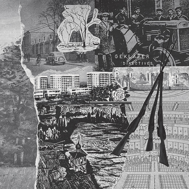 Directives cover art