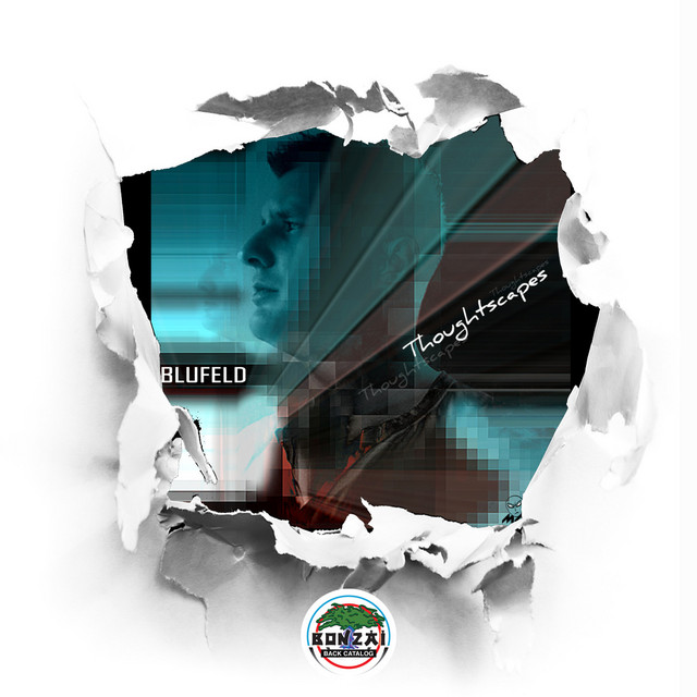 Thoughtscapes cover art