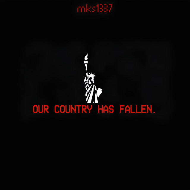 Our Country Has Fallen. cover art