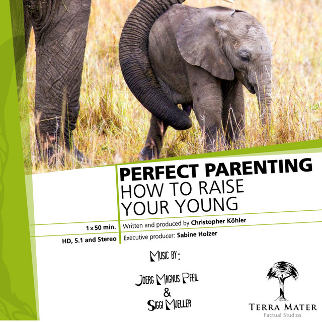 Perfect Parenting (Original Motion Picture Soundtrack) cover