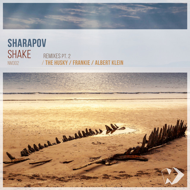 Обкладинка Sharapov — Shake, Pt. 2 (Remixes)
