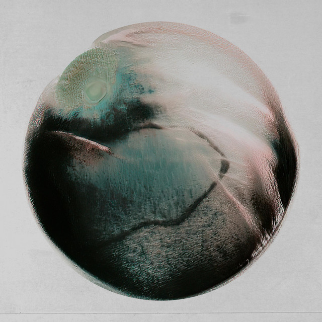El noble silencio del monte cover art