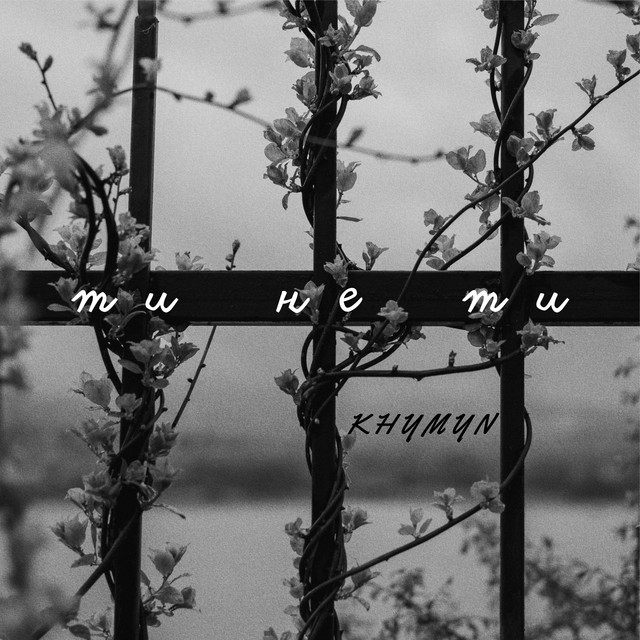 Обкладинка: Ти не ти — Khymyn