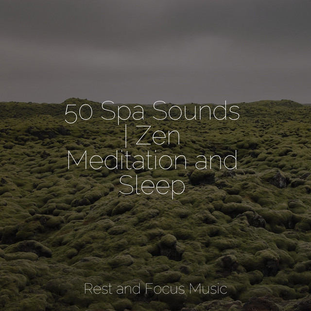 50 Spa Sounds | Zen Meditation and Sleep - Album by Healing Sounds for ...