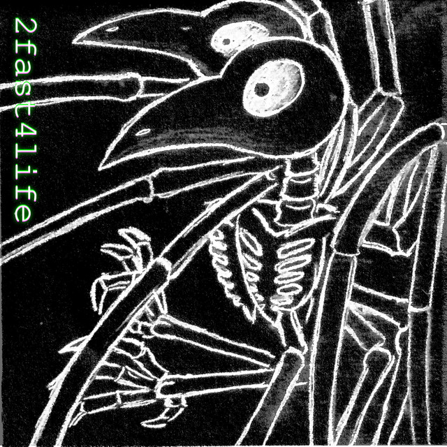 2fast4life cover art