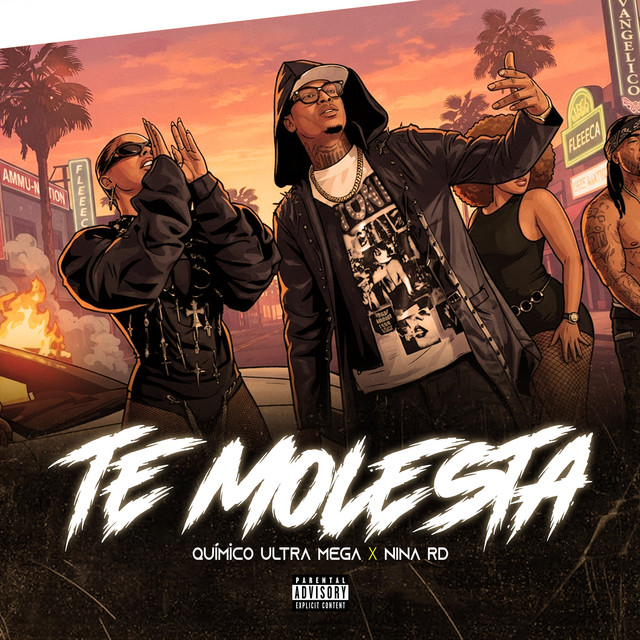 Te Molesta album image