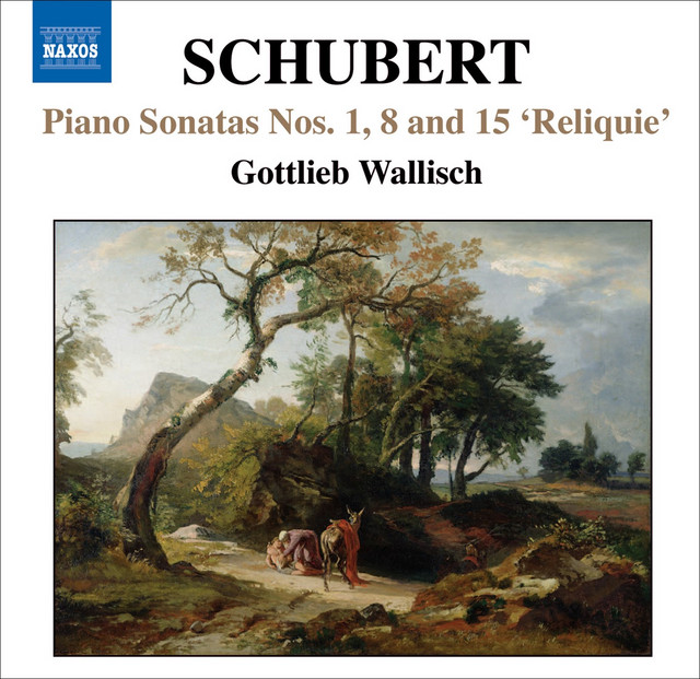 Piano Sonata No. 8 in F-Sharp Minor, D. 571: I. Allegro moderato, D. 571 (fragment) cover art