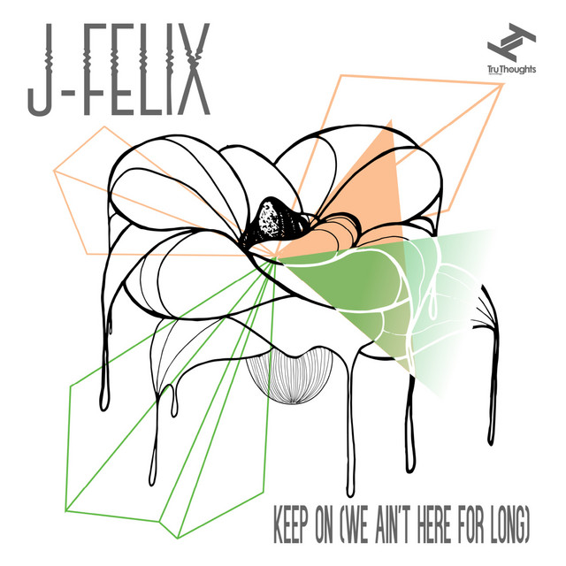 Keep On (We Ain't Here For Long) cover art