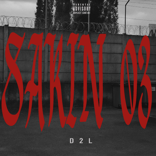 SAKIN 03