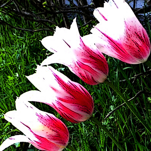 薫風 Version 3 Song By 松尾大生 Spotify