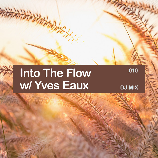 Into the Flow 010 (DJ Mix)
