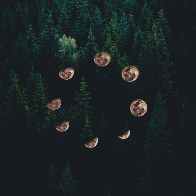 somewhere else cover art