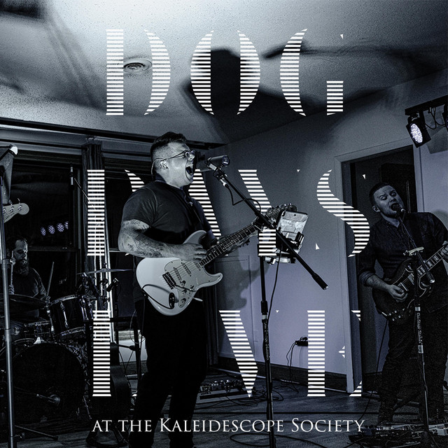 Dog Days (LIVE) cover art