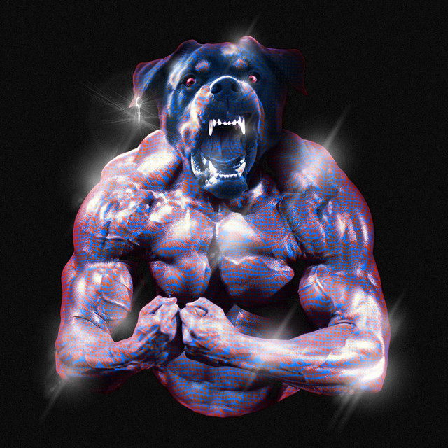 Rack It cover art