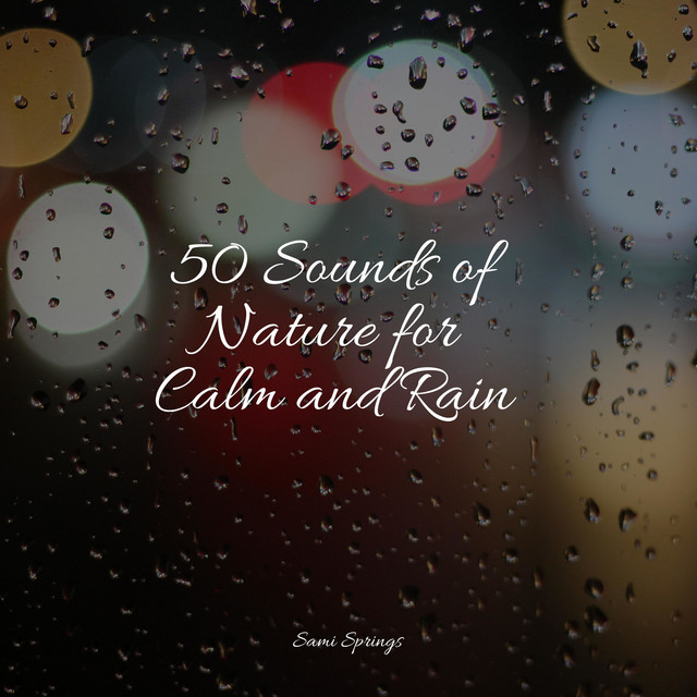 50 Warming Rain Sounds for Sleep and Chilling Out - Album by Nature ...