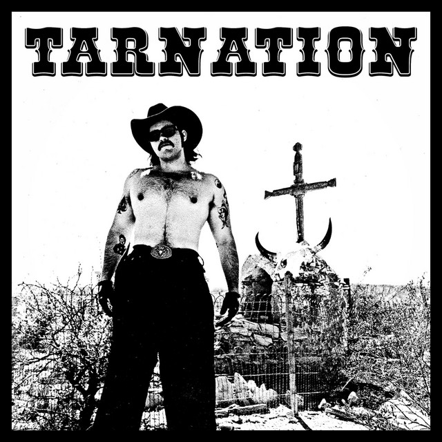 TARNATION cover art