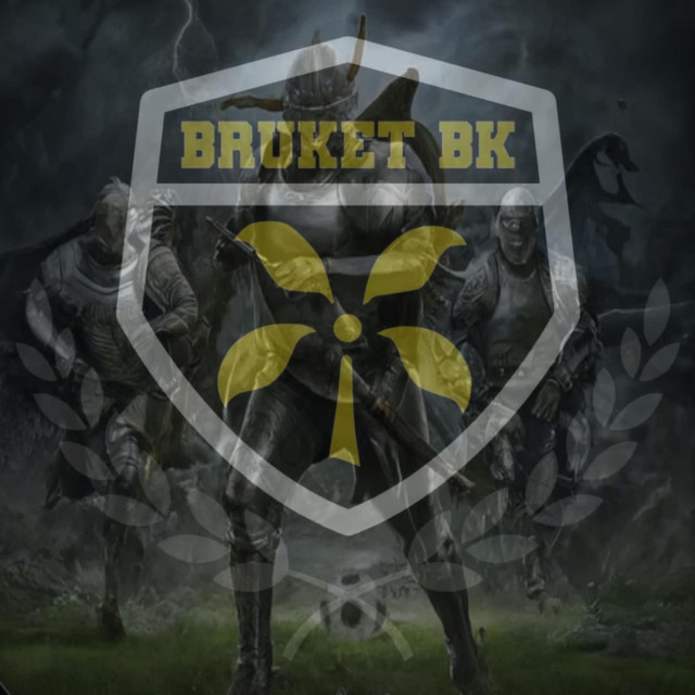 Hjältar i Grått cover