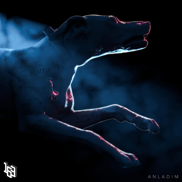 anladım cover art