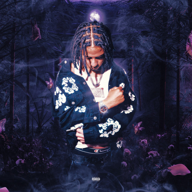 Light in the Dark album image
