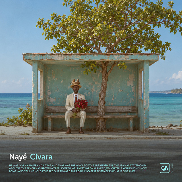 Nayé album image
