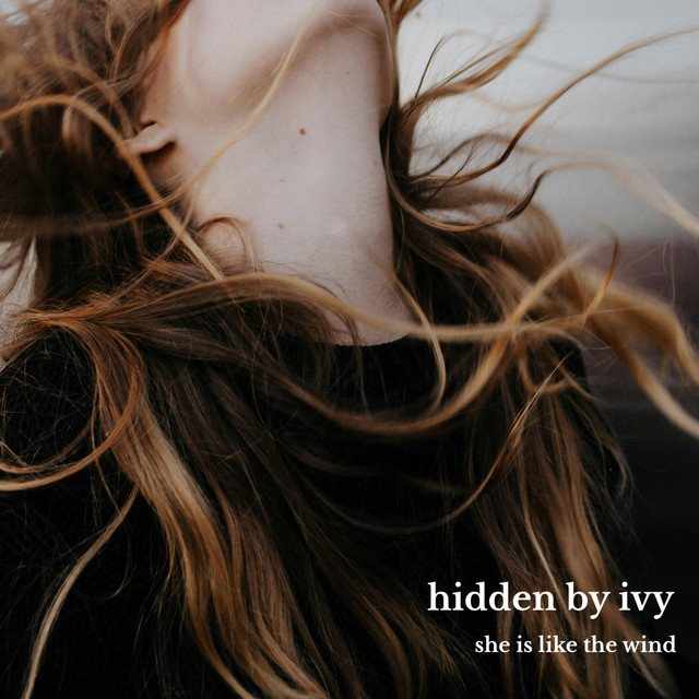 She's Like the Wind cover