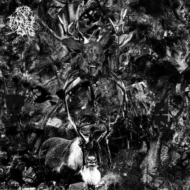 misanthropic cover art