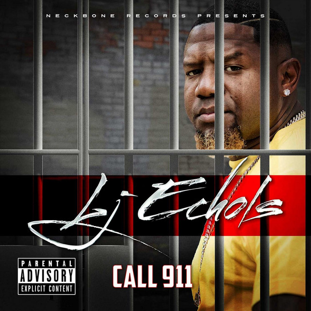 Call 911 cover art